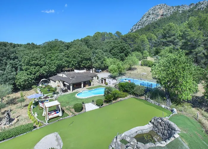 Owl Demana - Retreat In The Midst Of Nature