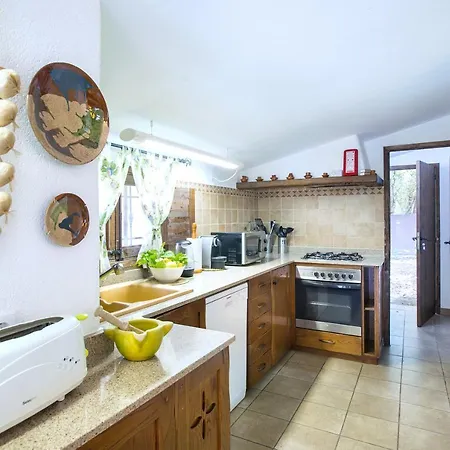 Owl Demana - Retreat In The Midst Of Nature *